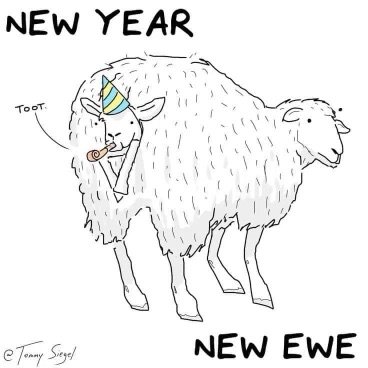 New Ewe.jpeg