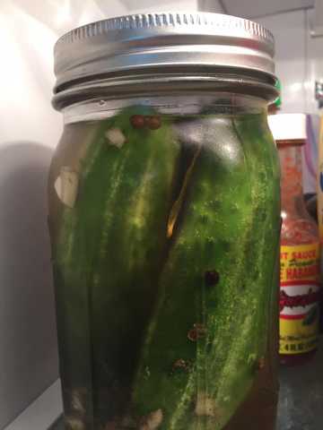 pickle.jpg