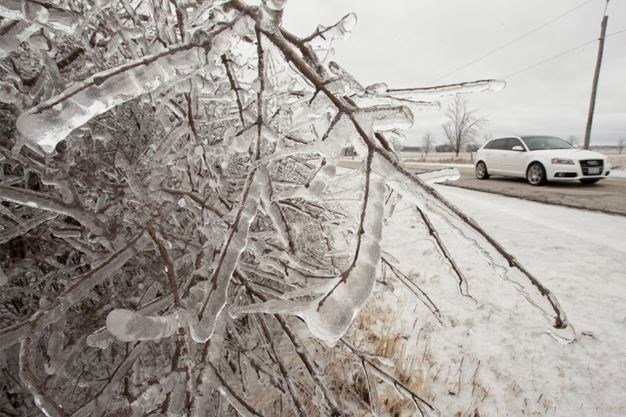 Ice Storm.jpg