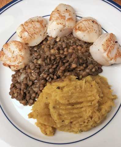 scallops #2a.jpg