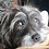 Casey_Hartlip