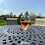Jonathan_Jaggers
