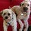 Lonny_Isenberg